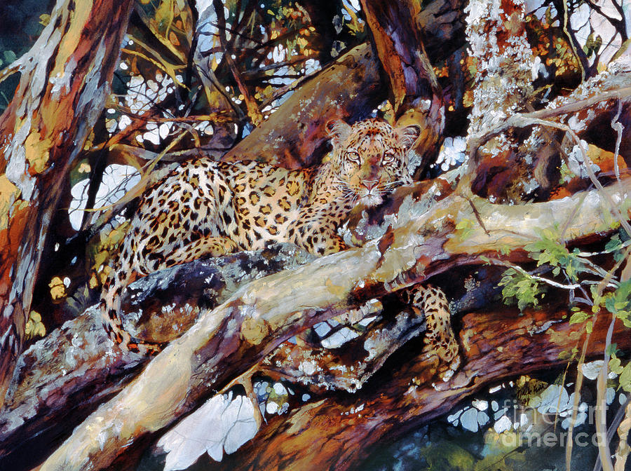 Kenyan Leopard Painting by Odile Kidd
