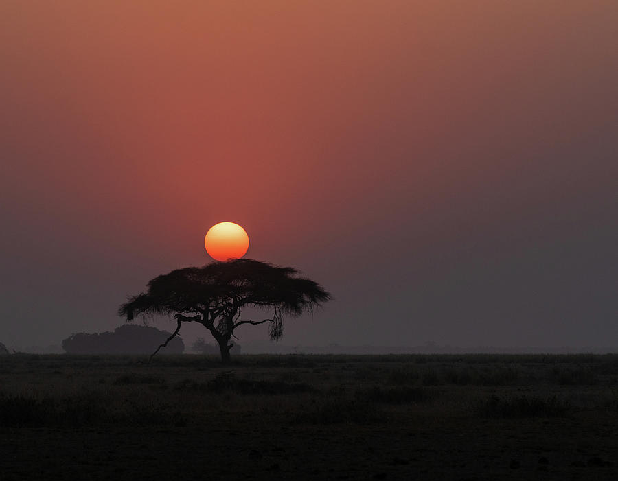 Kenyan Sunset Photograph by Roni Chastain