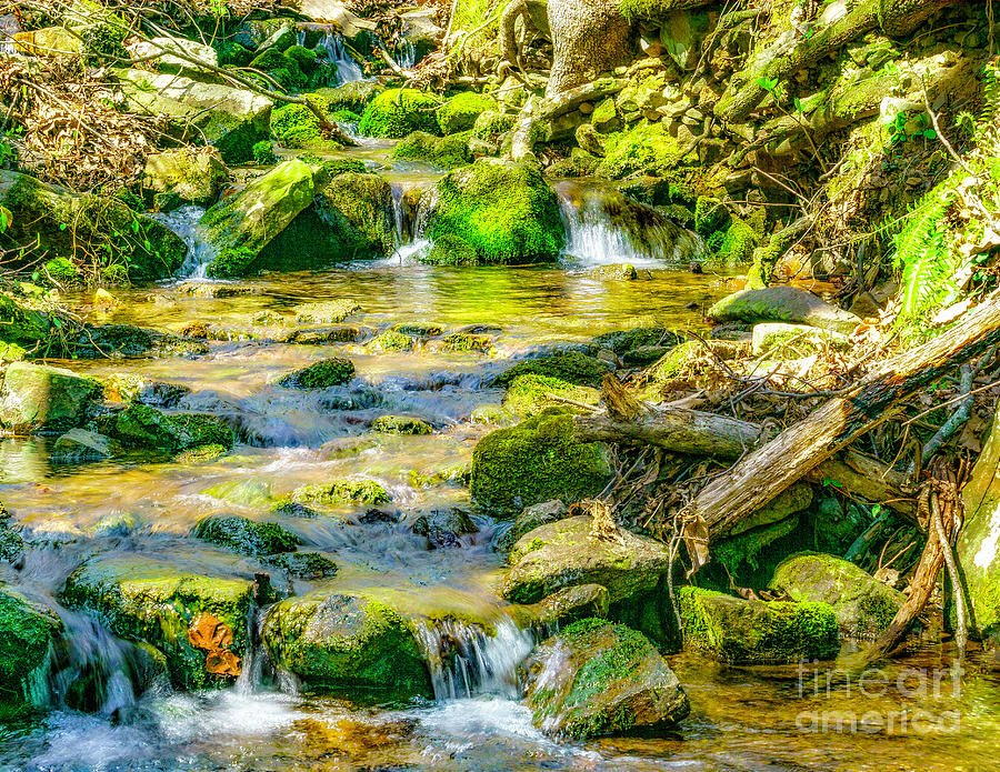 Keown FallsTrail by Nick Zelinsky Keown FallsTrail by Nick Zelinsky