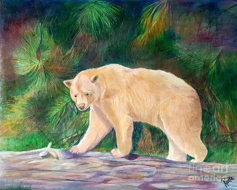 Kermode Spirit Bear Drawing by Rosita Herat