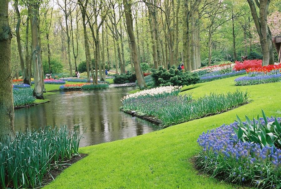Keukenhof Gardens Photograph by Susie Rieple Keukenhof Gardens Photograph by Susie Rieple