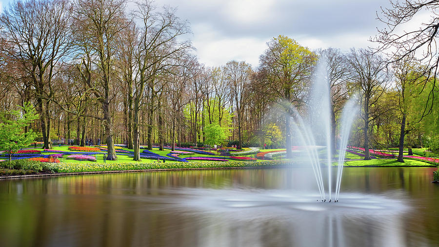 Keukenhof Tulip Garden Holland by Nathan Bush Keukenhof Tulip Garden Holland by Nathan Bush
