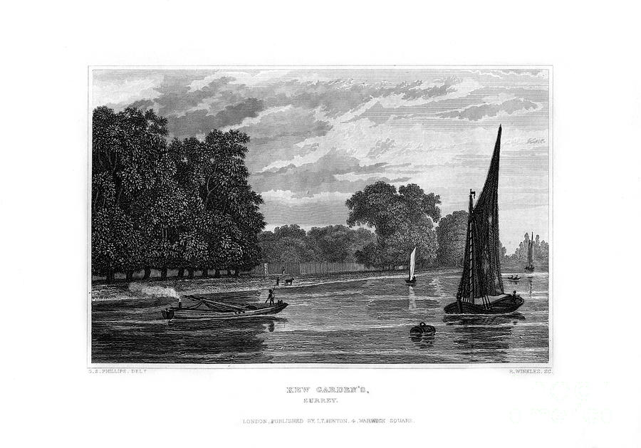 Kew Gardens, London, 1829.artist R Drawing by Print Collector