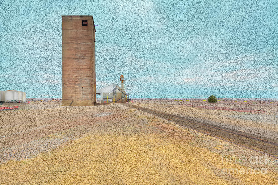 Farm Digital Art - Kewanee Grain Elevator by Larry Braun