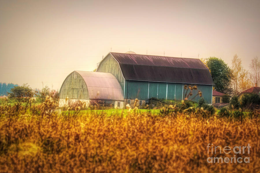Kewaunee Russet Autumn Countryside by Nikki Vig Kewaunee Russet Autumn Countryside by Nikki Vig