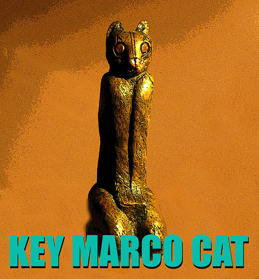 Key Marco Cat poster work A Photograph by David Lee Thompson