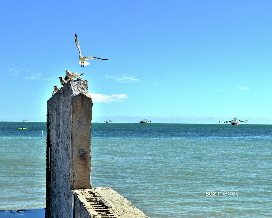 Key West Blues Photograph by Susie Loechler