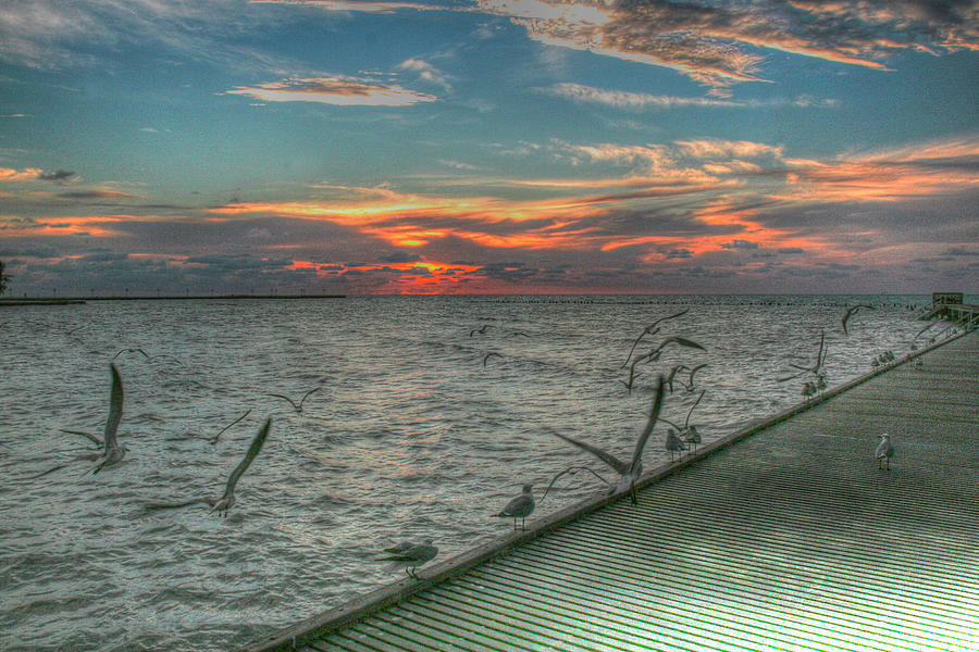 Sunset Photograph - Key West Sunrise Gulls And Pier by Robert Goldwitz