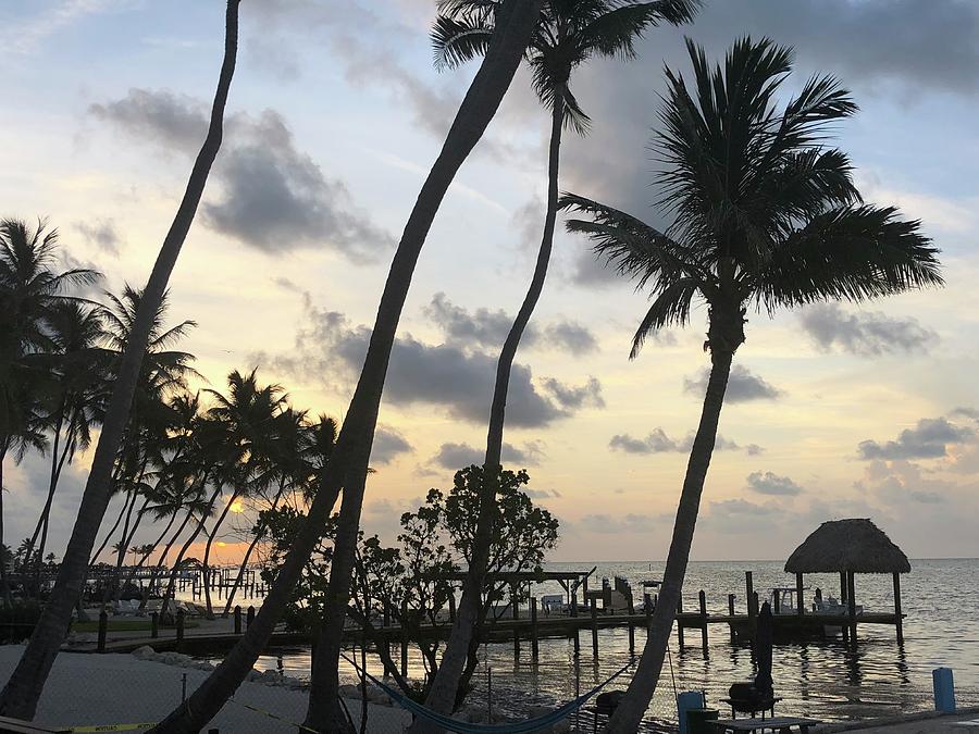 Key West wakes up Photograph by Britta Pyke