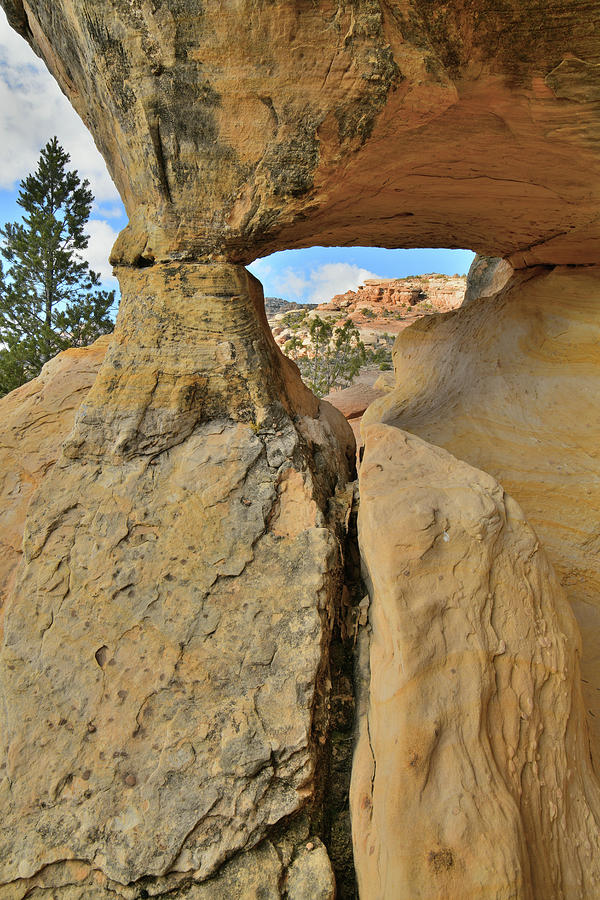 Keyhole View of Colorado National Monument Photograph by Ray Mathis