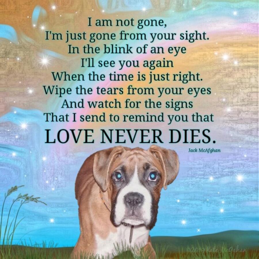 Ki Love Never Dies Photograph by Kate McGahan Ki Love Never Dies Photograph by Kate McGahan