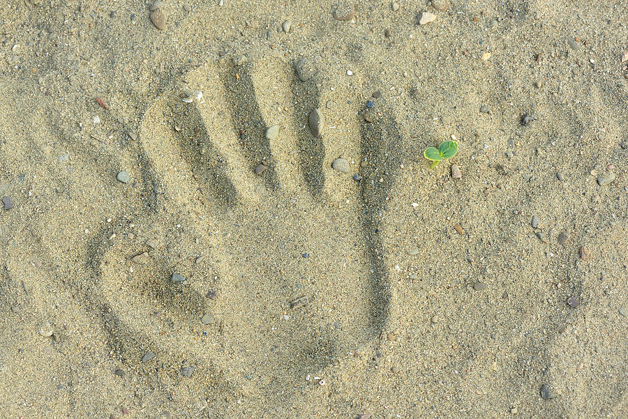 Nature Photograph - Kid Hand Prints On The Sand Neat by Daniel Chetroni