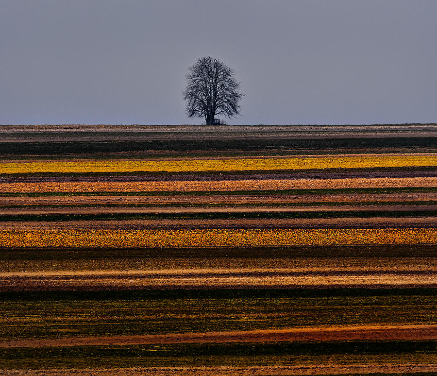 Kielce Fields Photograph by Slawomir Kowalczyk