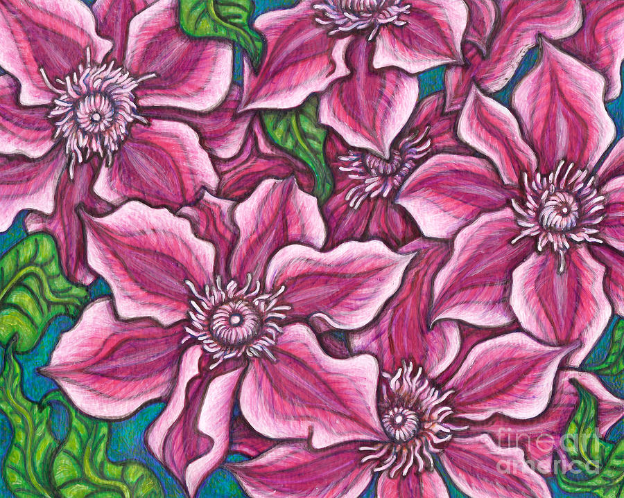 Kilian Donahue Clematis Painting by Amy E Fraser