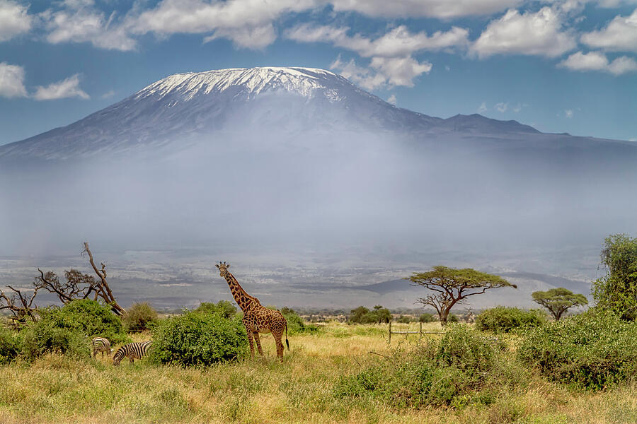 Kilimanjaro  5411 Photograph by Karen Celella