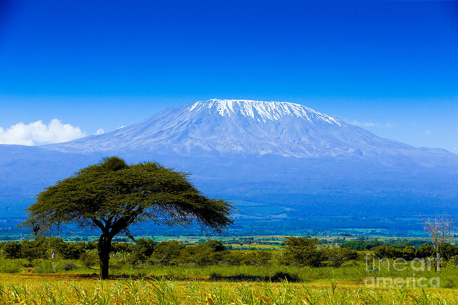 Tanzania Photograph - Kilimanjaro On African Savannah by Andrzej Kubik