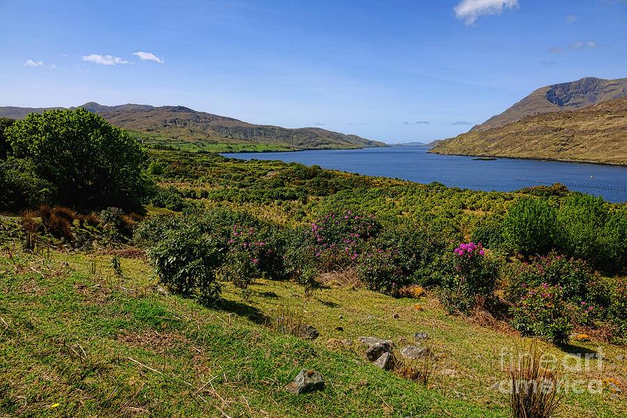Killary Fjord Photograph by Olivier Le Queinec