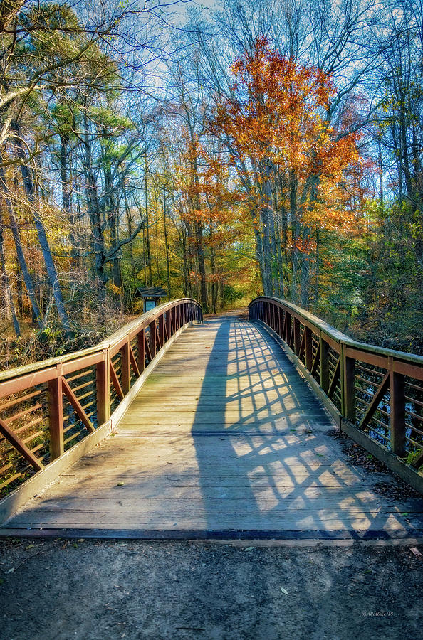 Killens Pond Pedestrian Bridge Pano Photograph by Brian Wallace - Fine ...