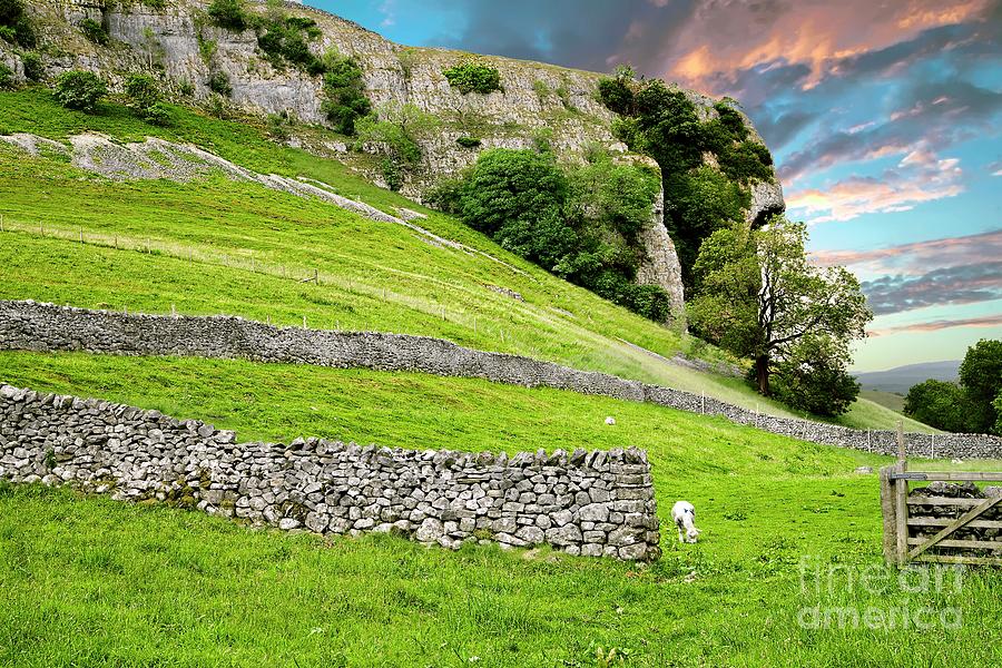 Kilnsey Crag, Wharfdale, Yorkshire Dales Photograph by Martyn Arnold
