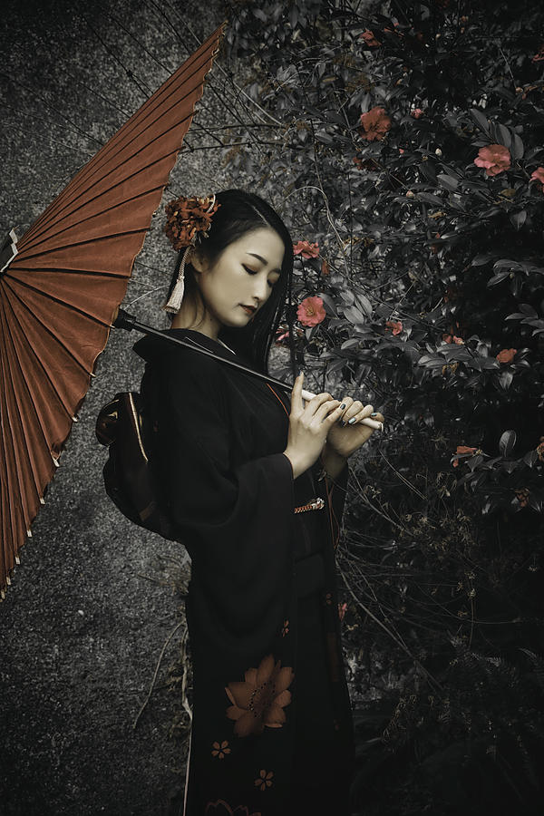 Kinameri Hikaru Photograph by Koiki - Fine Art America