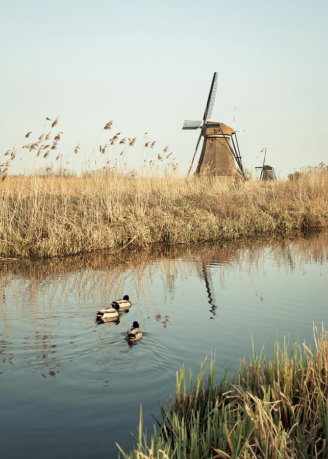 Kindedijk, Netherlands Photograph by Hak Liang Goh