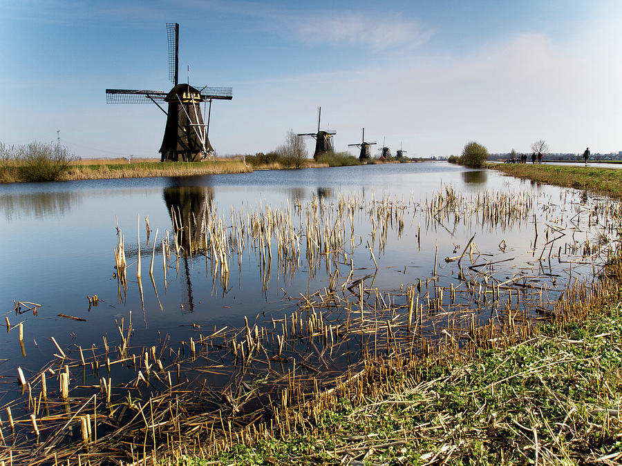 Kinderdijk Mills Photograph by Peterj©
