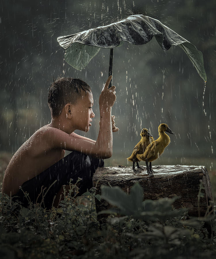 Kindness Photograph by Fira Mikael