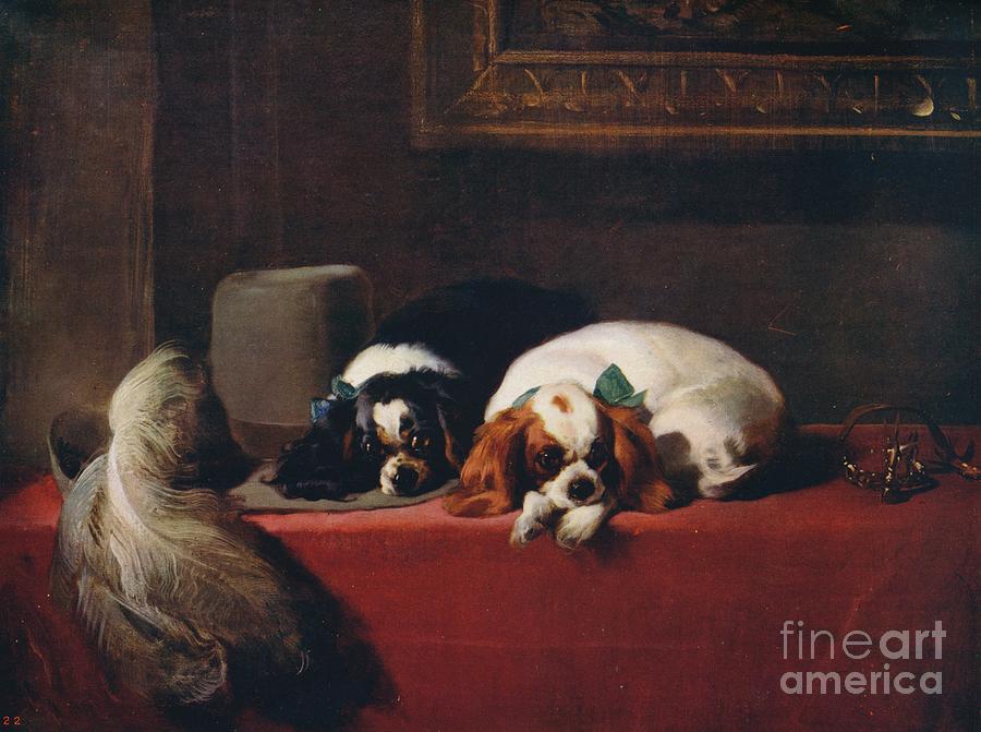 King Charles Spaniels The Cavaliers Pets Drawing by Print Collector
