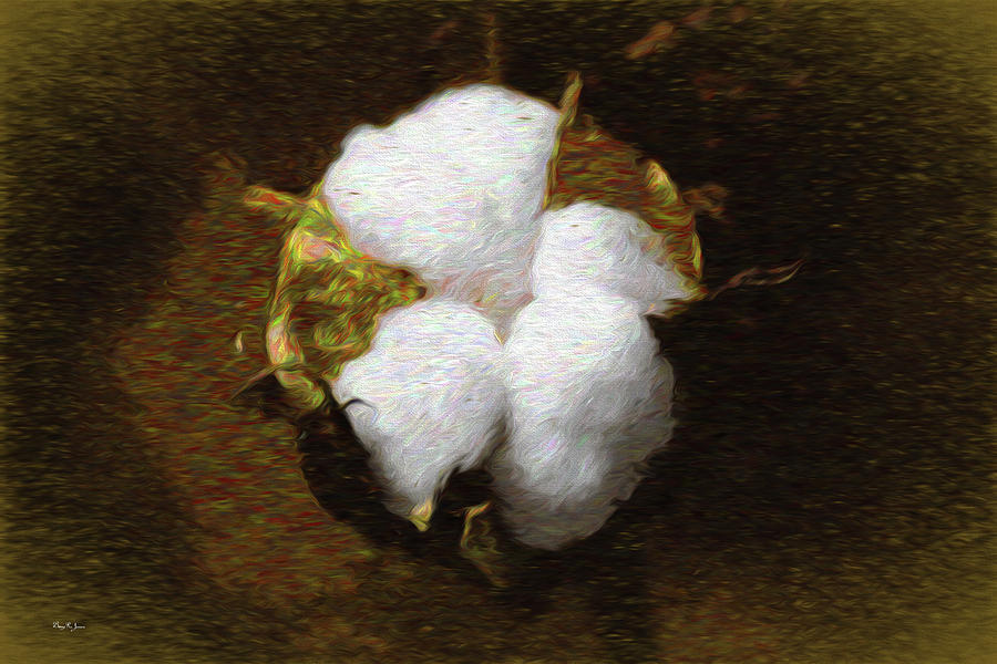 King Cotton Digital Art by Barry Jones