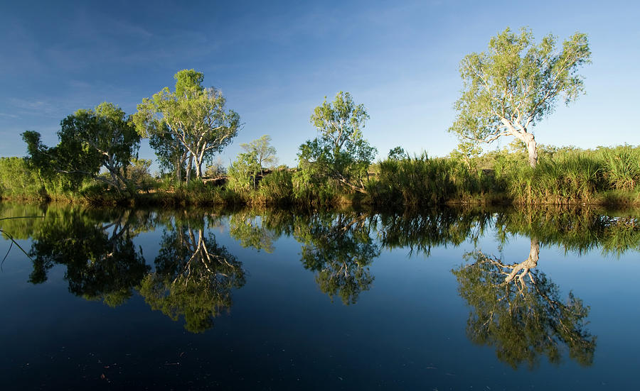 King Edward River Reflections Photograph by Samvaltenbergs