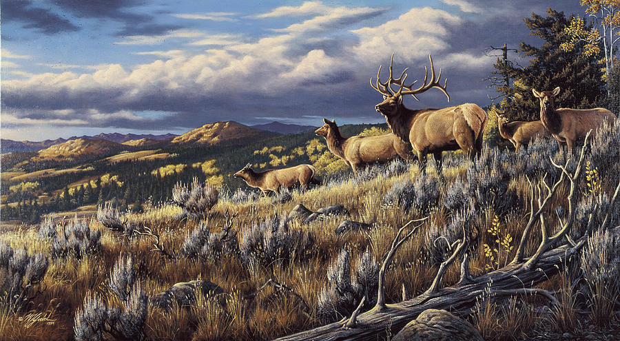 Animal Painting - King Of The Hill - Elk by Wilhelm Goebel