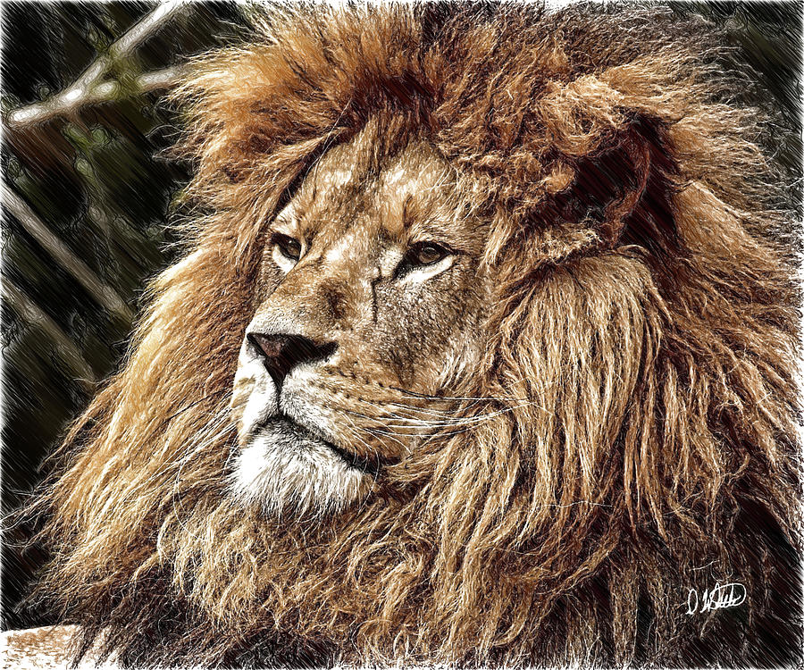 King of the Jungle - DWP3583963 Drawing by Dean Wittle