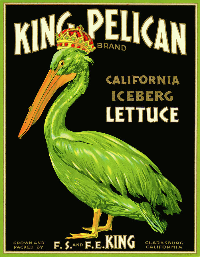 Vegetable Digital Art - King Pelican Brand Lettuce by Print Collection