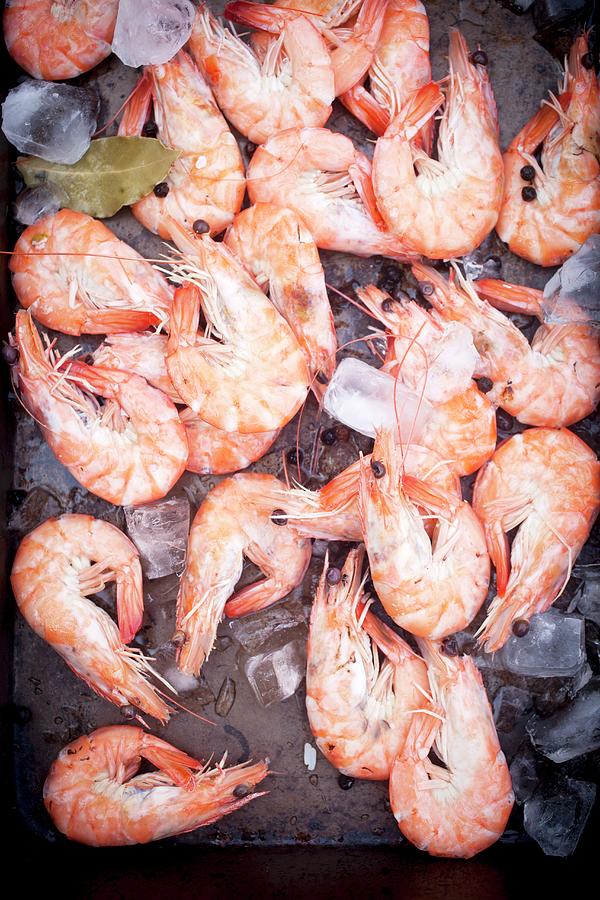 King Prawns Ice Cubes On A Baking Tray Photograph by Rika Manabe Photography