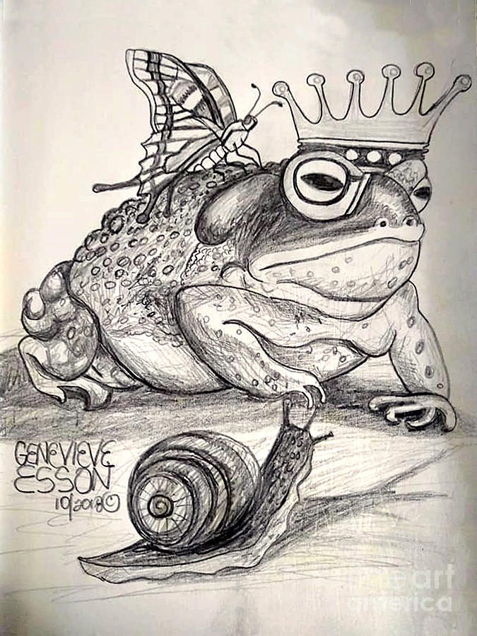 King Toad Drawing by Genevieve Esson