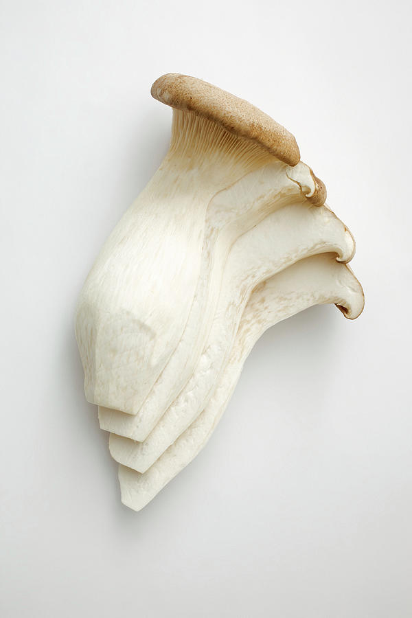 King Trumpet Mushrooms On A White Background Photograph by Petr Gross