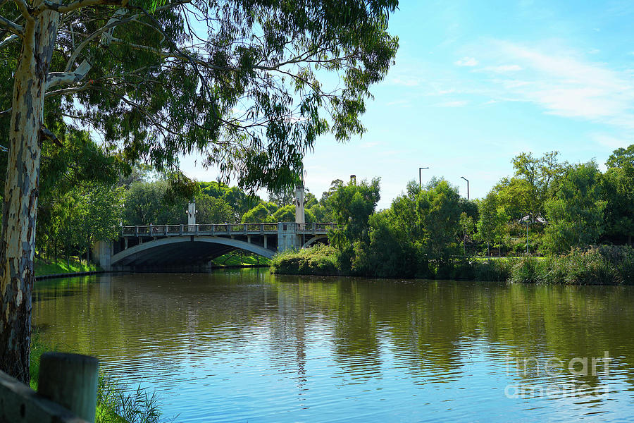 King William Road Bridge, Adelaide, South Australia. Photograph by Milleflore Images