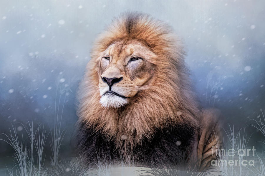 King Winter Digital Art by Ed Taylor