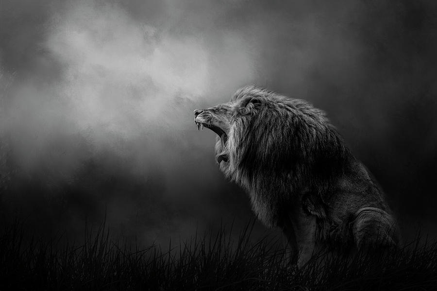 Kingdom Cry by Kelley Parker Kingdom Cry by Kelley Parker