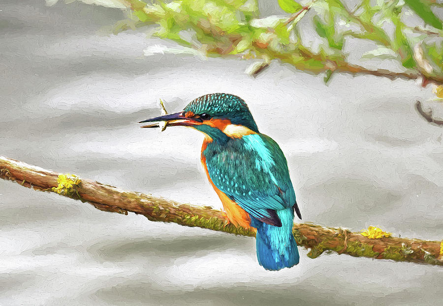 Kingfisher #2 Digital Art by Ian Merton