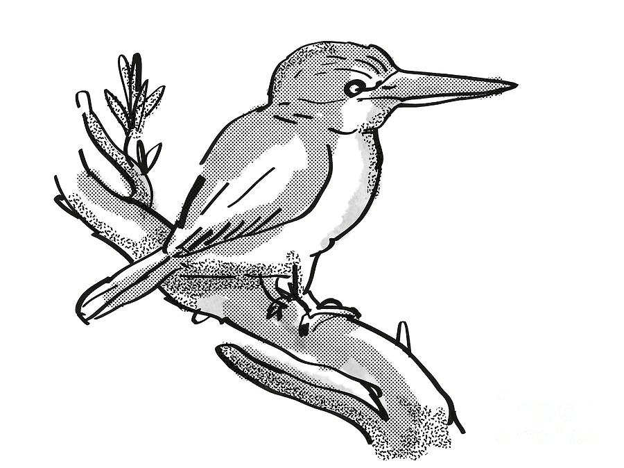 Stock Art Drawing of a Common Paradise Kingfisher - inkart