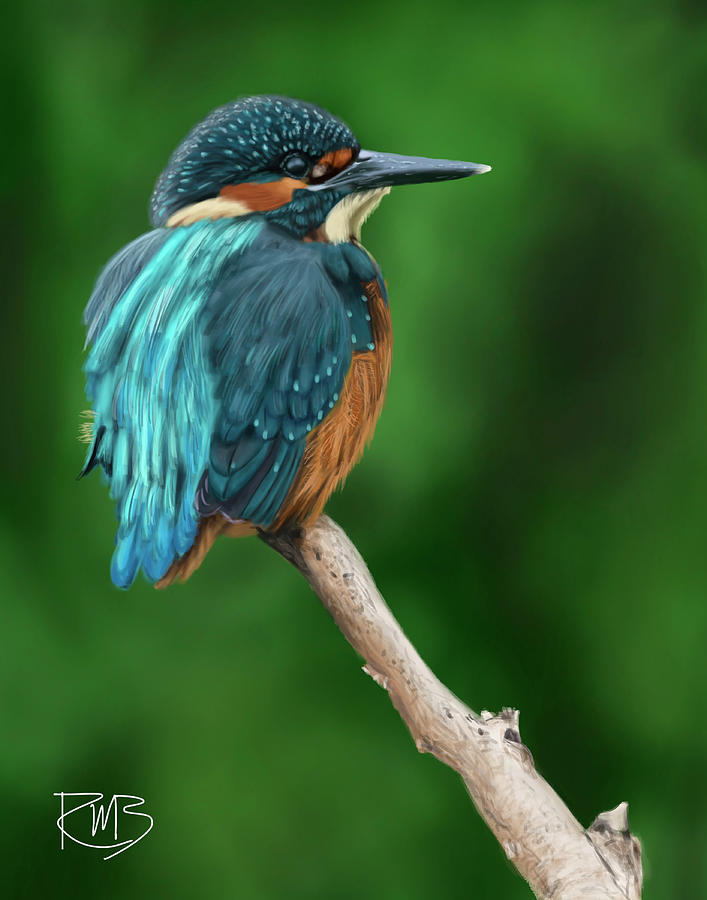 Kingfisher Digital Art by Robert Bovasso - Fine Art America