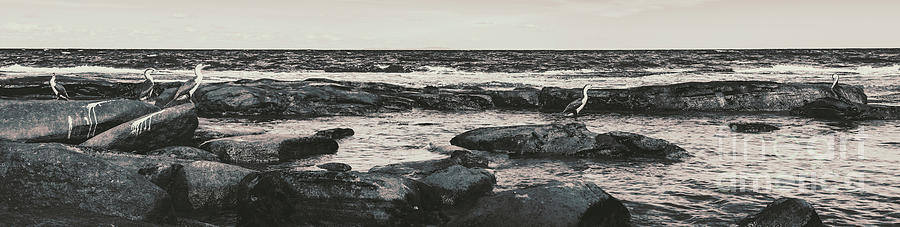 Kings Beach Rocky Panoramic Photograph by Jorgo Photography
