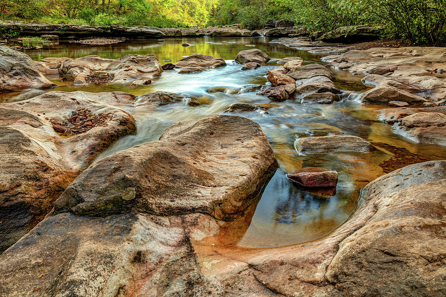 America Photograph - Kings River Falls Nature Trail - Arkansas by Gregory Ballos