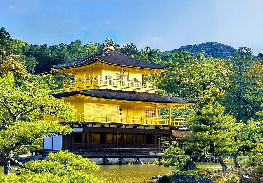 Kinkakuji - Gold Temple in Kyoto Photograph by Stefano Senise