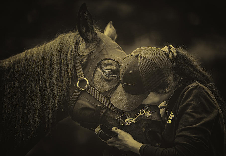 Horse Photograph - Kiss by Molly Fu