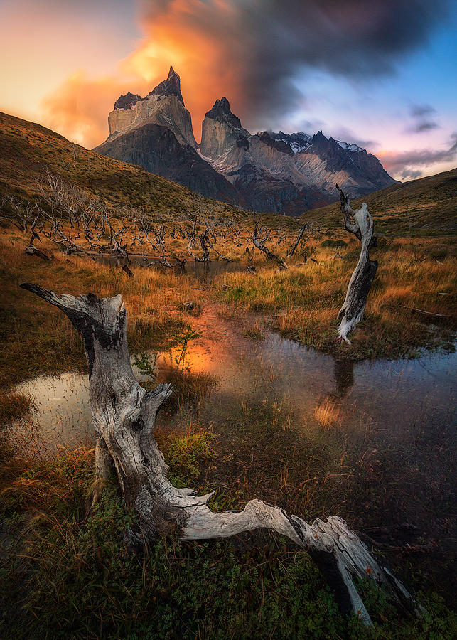 Landscape Photograph - Kissed By Fire by Cristian Kirshbom