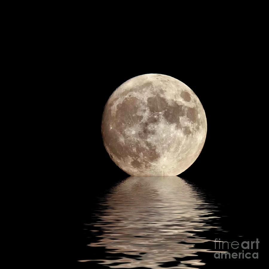 Kissed by the Silvery Moon Photograph by Laurinda Bowling