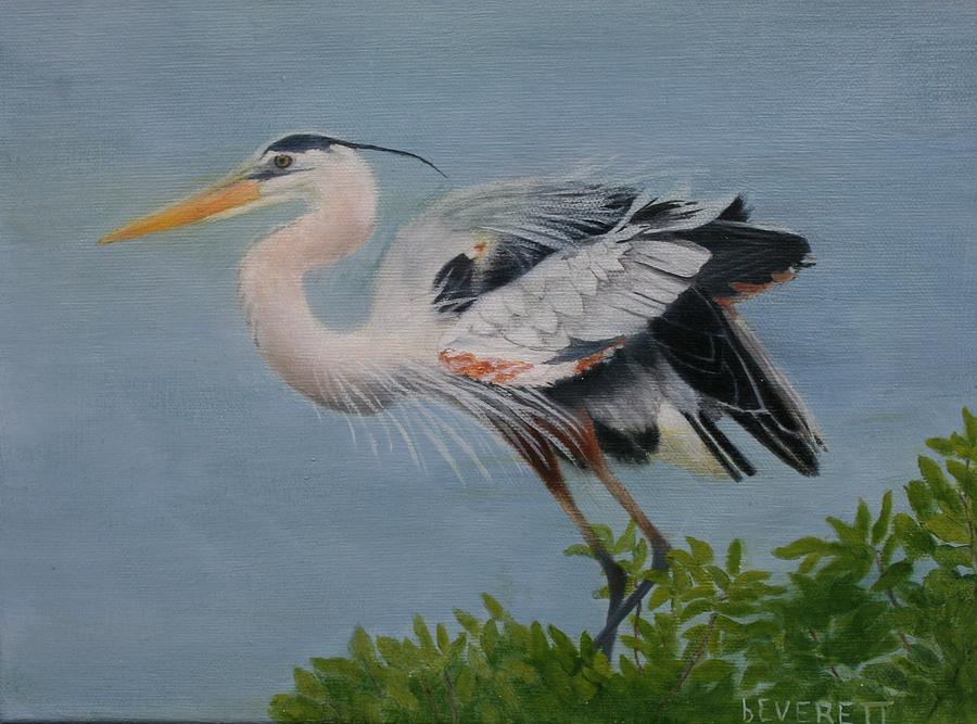 Wildlife Painting - Kissimmee Heron by Brenda Everett