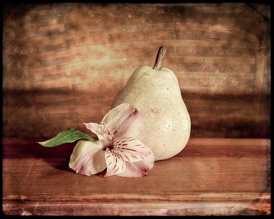 Fruit Mixed Media - Kitchen Pear 2 by Lightboxjournal